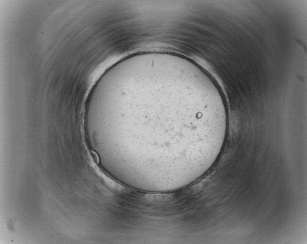 X0000102381437200808221752