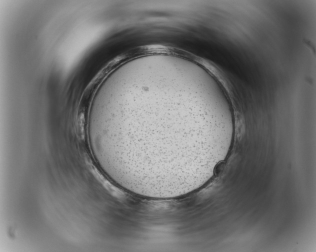 X0000102381438200808221752