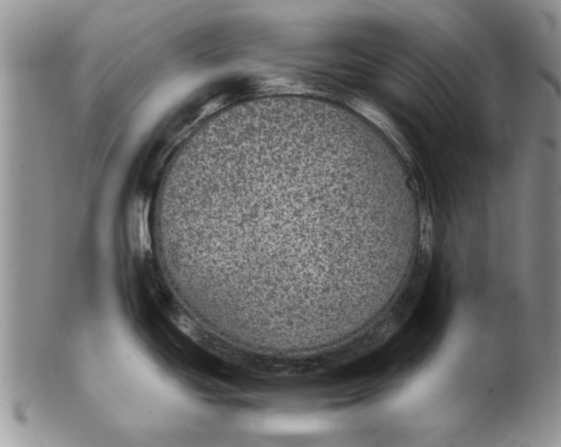 X0000102381439200808221752