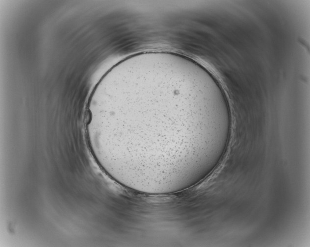 X0000102381440200808221752