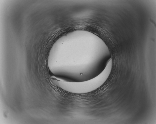 X0000102381441200808221751