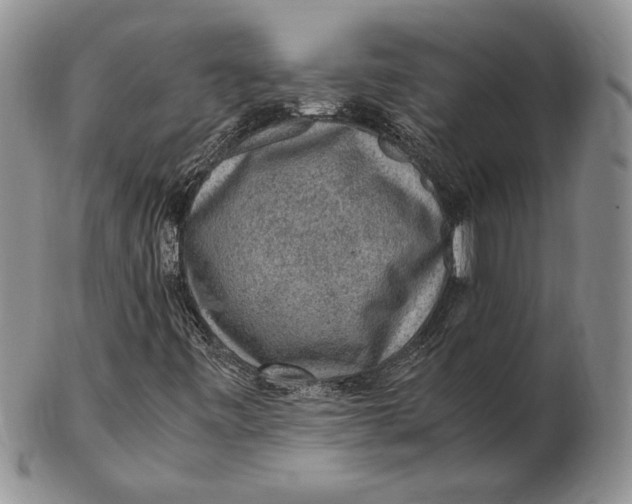 X0000102381443200808221751