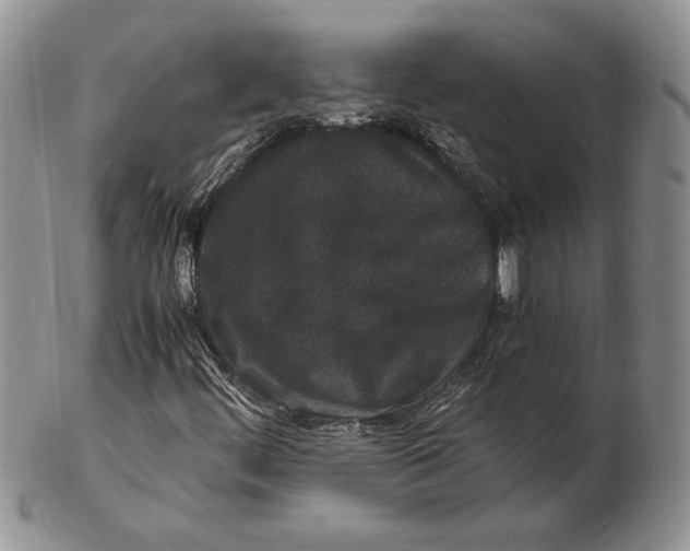 X0000102381444200808221751