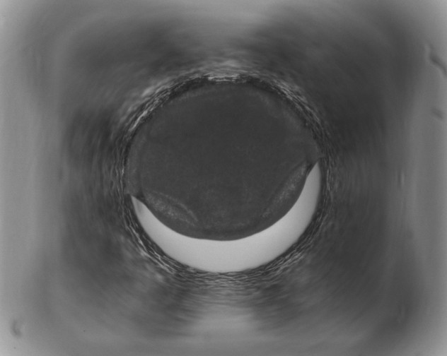 X0000102381445200808221751