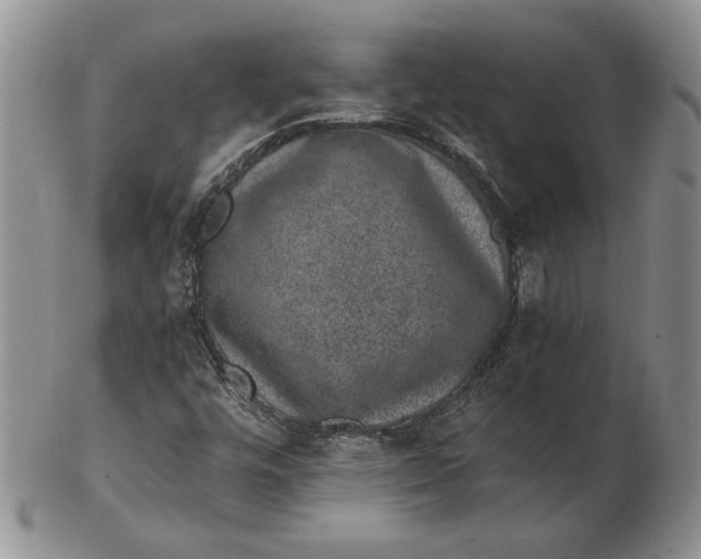 X0000102381448200808221751