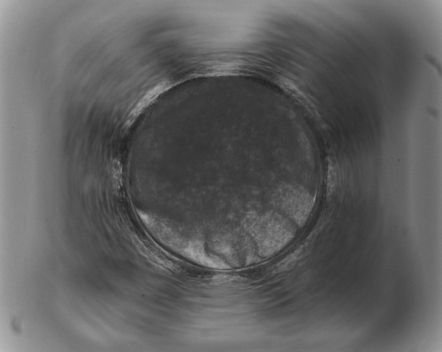 X0000102381449200808221751