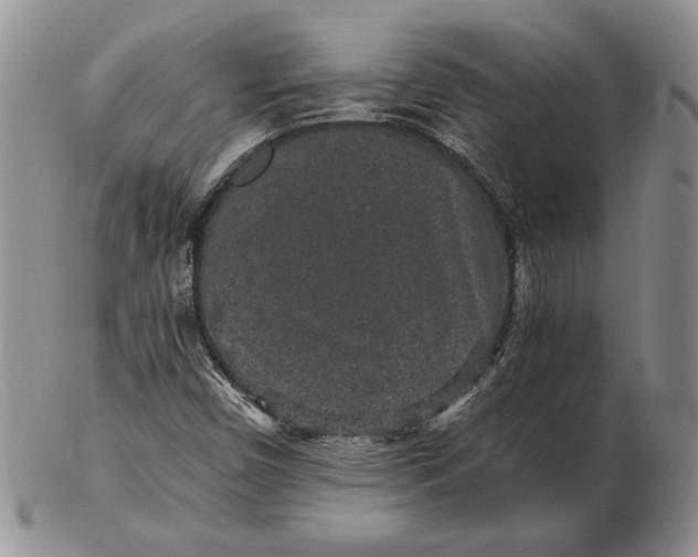 X0000102381450200808221751