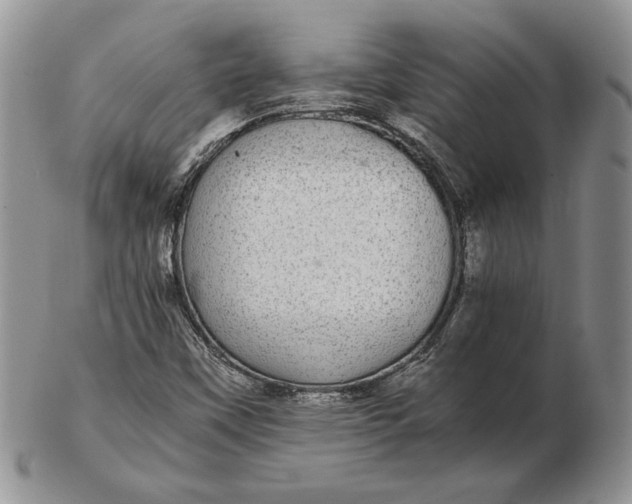 X0000102381451200808221751