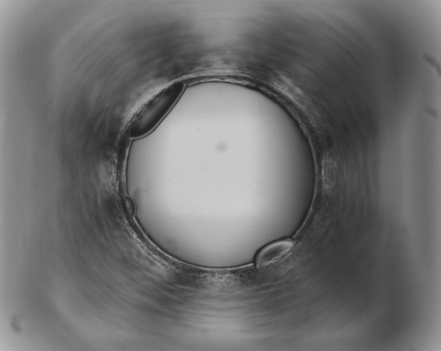 X0000102381452200808221751