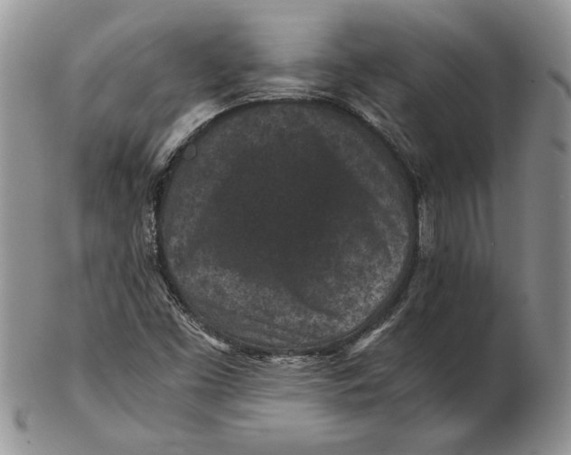 X0000102381453200808221751