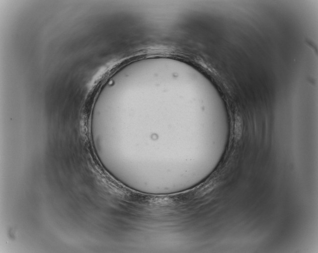 X0000102381454200808221751