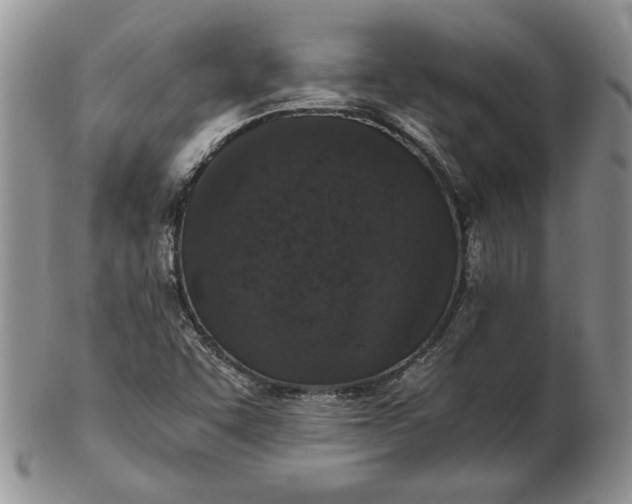 X0000102381455200808221751