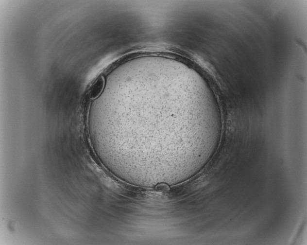 X0000102381456200808221751