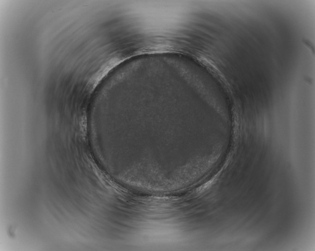 X0000102381457200808221751