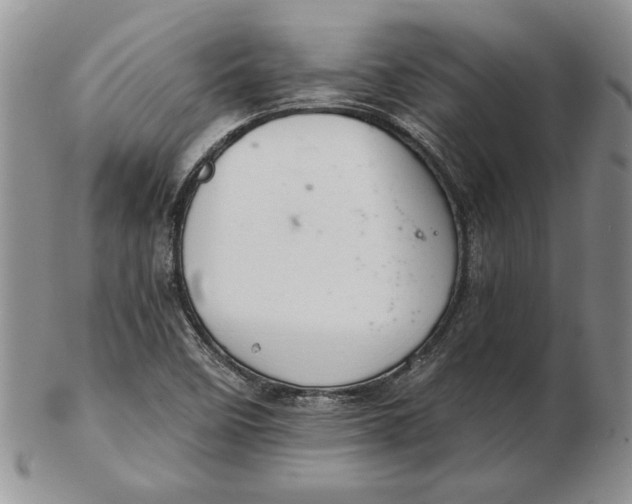 X0000102381458200808221751