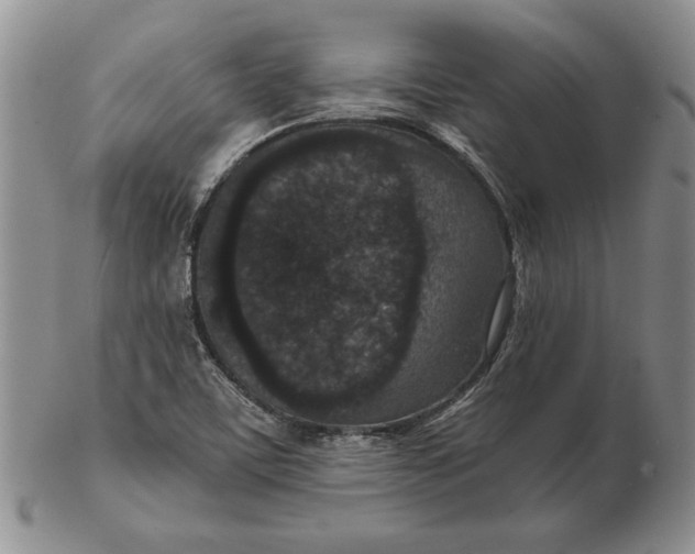 X0000102381459200808221751