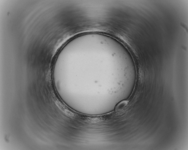 X0000102381460200808221751