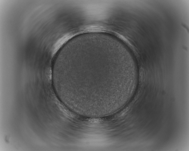 X0000102381461200808221751