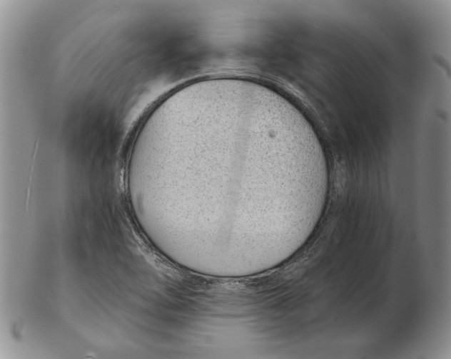 X0000102381462200808221751