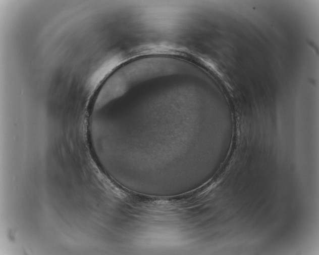 X0000102381463200808221751