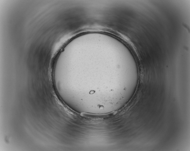 X0000102381464200808221751