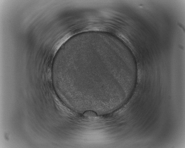 X0000102381465200808221751