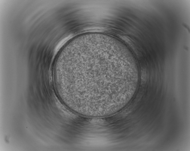 X0000102381466200808221751