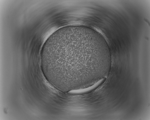 X0000102381467200808221751