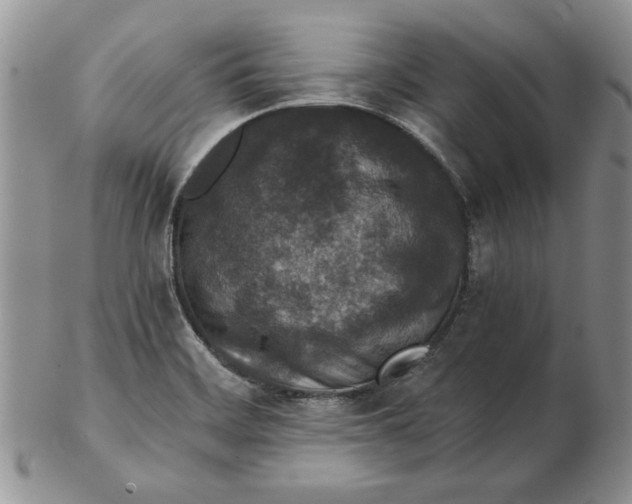 X0000102381468200808221751