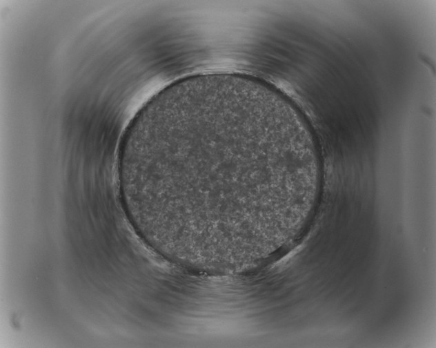 X0000102381469200808221751