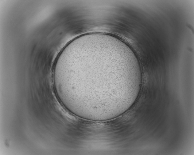 X0000102381470200808221751