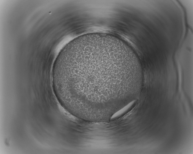 X0000102381471200808221751