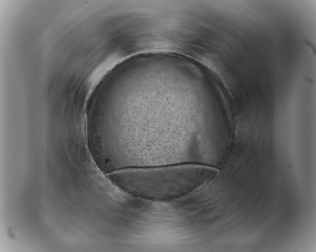 X0000102381472200808221751