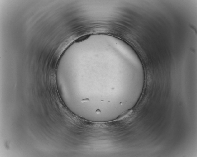 X0000102381473200808221751