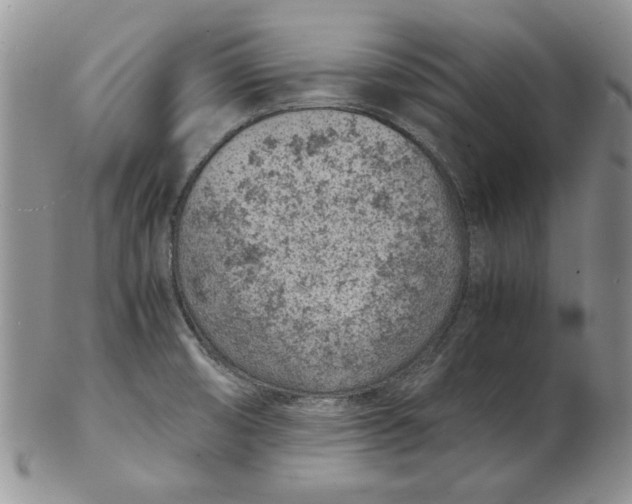 X0000102381474200808221751