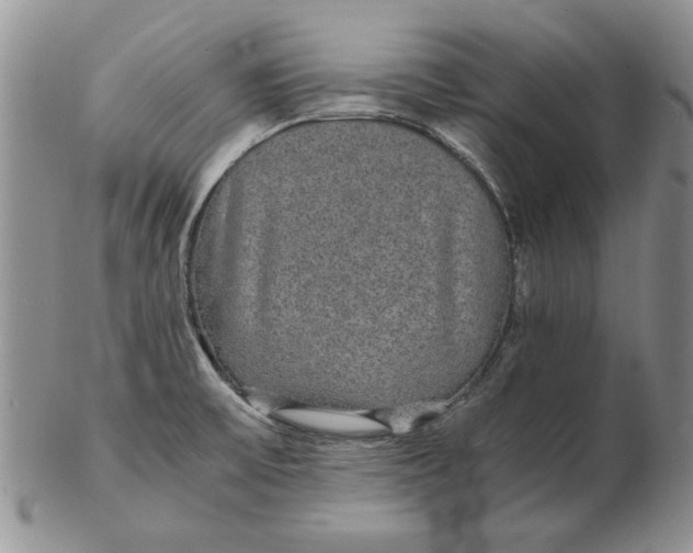 X0000102381475200808221751