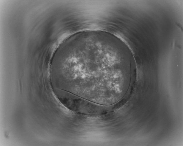 X0000102381477200808221751