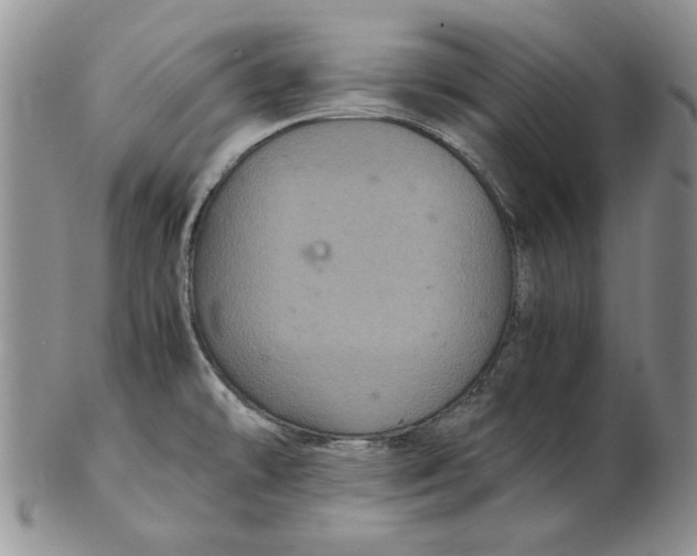 X0000102381478200808221751