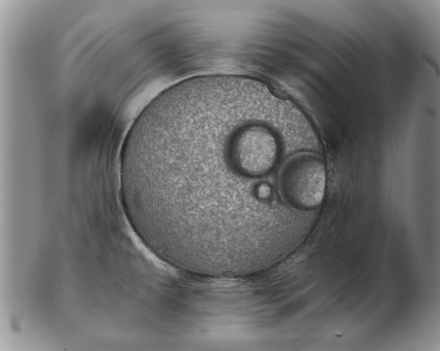 X0000102381479200808221751