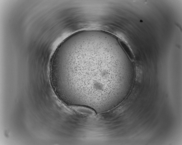 X0000102381480200808221751