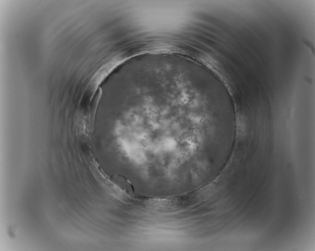 X0000102381481200808221751