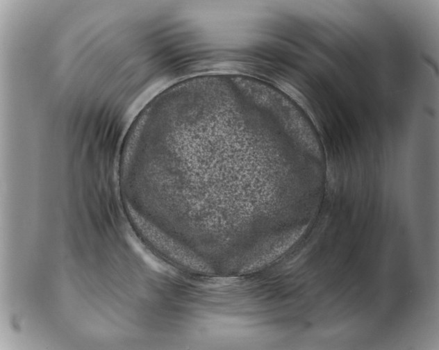 X0000102381482200808221751