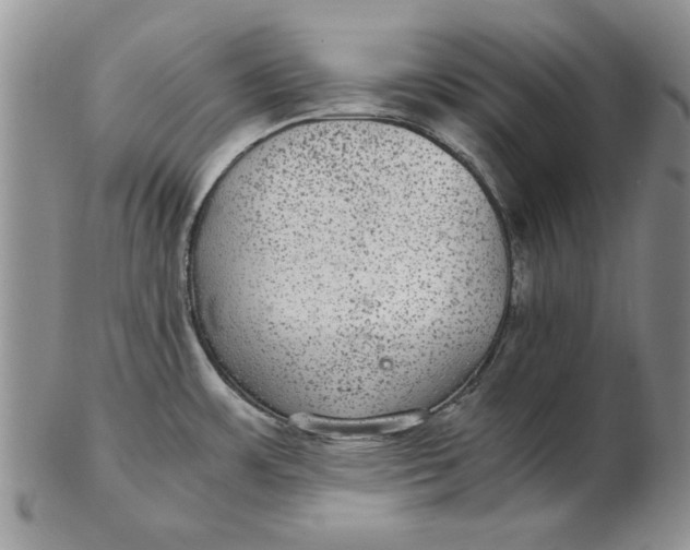 X0000102381483200808221751