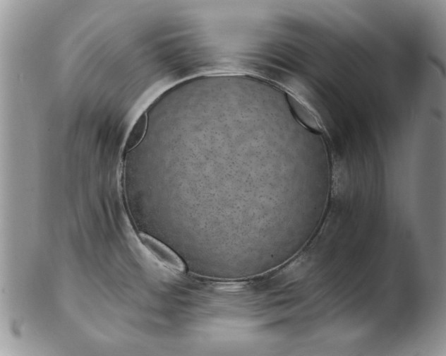 X0000102381484200808221751