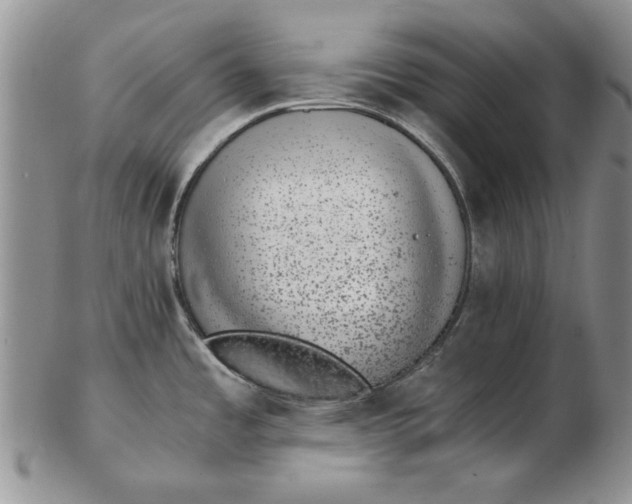 X0000102381485200808221751