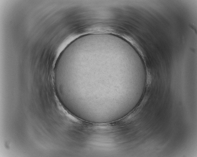 X0000102381486200808221751