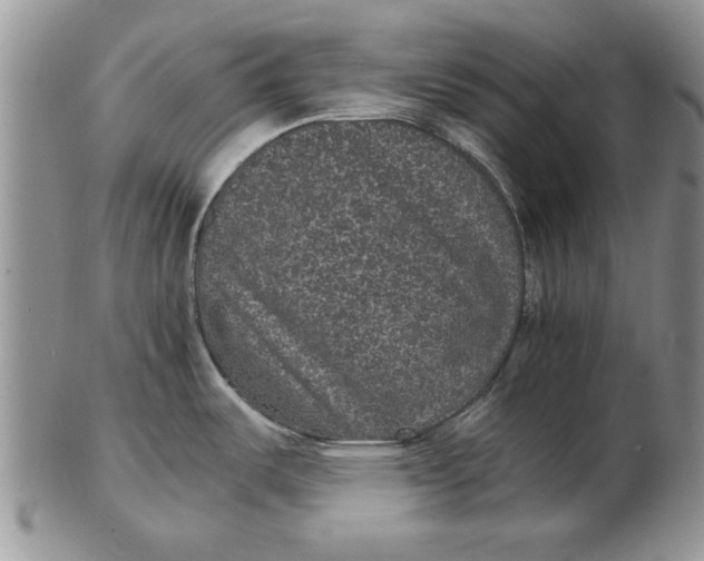 X0000102381487200808221751