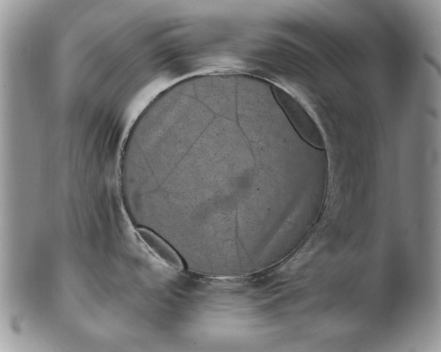 X0000102381488200808221751