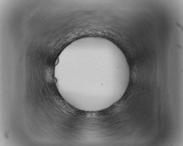 X0000102381490200808221750