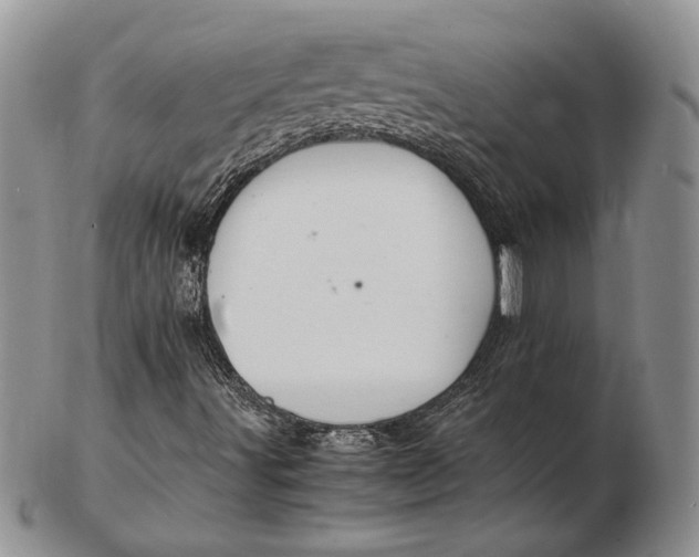 X0000102381491200808221750